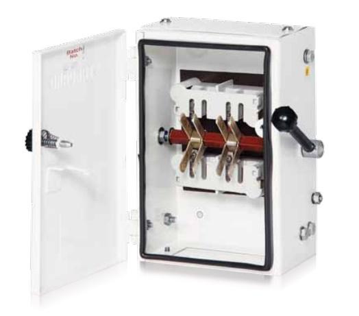 Standard 100Amps Changeover Switch