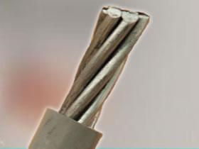 Cometstar All Aluminum Conductor (AAC) AAC 1 X 35MM