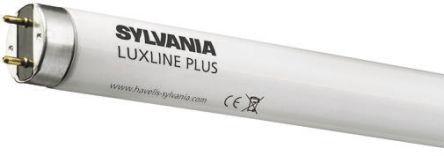 Sylvania T5 FHO Luxline Plus 54W 840